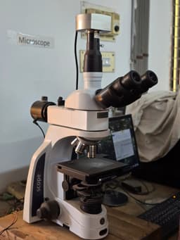 2 bed room  thumbnail 6