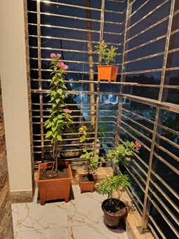 সপ্নবিলাস, ১৩৮/২b, ২নং কাশেম নগর সড়কের মাথায়, আল-ফারুক মসজিদের সামনে (নার্সারী রোড),শের-এ-বাংলা  রোড, গল্লামারি, খুলনা।  thumbnail 12